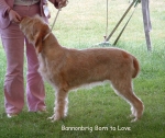 Filename=B-BornToLove.jpg
Filesize=147KiB
Dimensions=964x810
Date added=Sep 16, 2009 B-BornToLove.jpg