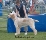 Filename=B-Daydream.jpg
Filesize=101KiB
Dimensions=775x681
Date added=Sep 16, 2009 B-Daydream.jpg