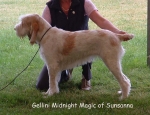 Filename=G-MidnightMagic.jpg
Filesize=98KiB
Dimensions=724x558
Date added=Sep 16, 2009 G-MidnightMagic.jpg