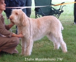 Filename=I-Massimiliano.jpg
Filesize=109KiB
Dimensions=775x642
Date added=Sep 16, 2009 I-Massimiliano.jpg