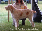 Filename=J-AllThatJazz.jpg
Filesize=117KiB
Dimensions=880x657
Date added=Sep 16, 2009 J-AllThatJazz.jpg