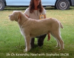 Filename=K-Newl.jpg
Filesize=131KiB
Dimensions=844x672
Date added=Sep 16, 2009 K-Newl.jpg