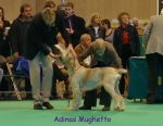 Filename=A-Mughetto.jpg
Filesize=65KiB
Dimensions=450x350
Date added=Sep 16, 2009 A-Mughetto.jpg