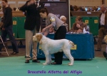 Filename=B-Alfetta.jpg
Filesize=70KiB
Dimensions=700x500
Date added=Sep 16, 2009 B-Alfetta.jpg