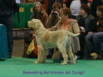Filename=B-Bartolomeo.jpg
Filesize=58KiB
Dimensions=600x450
Date added=Sep 16, 2009 B-Bartolomeo.jpg