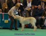 Filename=C-JaffaCake.jpg
Filesize=67KiB
Dimensions=450x350
Date added=Sep 16, 2009 C-JaffaCake.jpg
