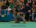 Filename=C-JiveBunny.jpg
Filesize=62KiB
Dimensions=450x350
Date added=Sep 16, 2009 C-JiveBunny.jpg