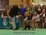 Filename=F-IMNoAngel.jpg
Filesize=76KiB
Dimensions=450x350
Date added=Sep 16, 2009 F-IMNoAngel.jpg