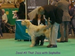Filename=J-AllThatJazz.jpg
Filesize=63KiB
Dimensions=600x450
Date added=Sep 16, 2009 J-AllThatJazz.jpg
