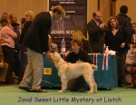 Filename=J-SweetLittleMystery.jpg
Filesize=72KiB
Dimensions=450x350
Date added=Sep 16, 2009 J-SweetLittleMystery.jpg