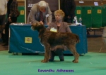Filename=K-Adhewans.jpg
Filesize=71KiB
Dimensions=700x500
Date added=Sep 16, 2009 K-Adhewans.jpg