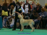 Filename=K-Denys.jpg
Filesize=66KiB
Dimensions=600x450
Date added=Sep 16, 2009 K-Denys.jpg