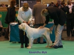 Filename=K-Myk.jpg
Filesize=72KiB
Dimensions=600x450
Date added=Sep 16, 2009 K-Myk.jpg