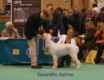 Filename=K-Safron.jpg
Filesize=73KiB
Dimensions=450x350
Date added=Sep 16, 2009 K-Safron.jpg