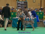 Filename=K-Whes.jpg
Filesize=75KiB
Dimensions=600x450
Date added=Sep 16, 2009 K-Whes.jpg