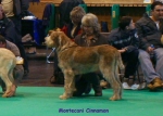 Filename=M-Cinnamon.jpg
Filesize=72KiB
Dimensions=700x500
Date added=Sep 16, 2009 M-Cinnamon.jpg