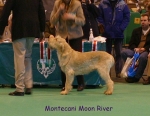Filename=M-MoonRiver.jpg
Filesize=64KiB
Dimensions=450x350
Date added=Sep 16, 2009 M-MoonRiver.jpg