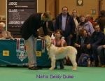 Filename=N-DaisyDuke.jpg
Filesize=68KiB
Dimensions=450x350
Date added=Sep 16, 2009 N-DaisyDuke.jpg