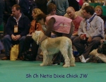 Filename=N-DixieChick.jpg
Filesize=66KiB
Dimensions=450x350
Date added=Sep 16, 2009 N-DixieChick.jpg