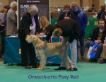 Dateiname=O-FoxyRed.jpg
Dateigröße=72KB
Abmessungen: 450x350
hinzugefügt am: 16. September 2009 O-FoxyRed.jpg