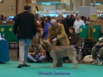 Dateiname=O-Jackaroo.jpg
Dateigröße=71KB
Abmessungen: 600x450
hinzugefügt am: 16. September 2009 O-Jackaroo.jpg