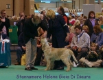 Dateiname=S-HelenaGioiaDiIsura.jpg
Dateigröße=80KB
Abmessungen: 450x350
hinzugefügt am: 16. September 2009 S-HelenaGioiaDiIsura.jpg