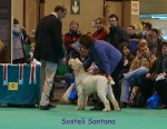 Dateiname=S-Santana.jpg
Dateigröße=73KB
Abmessungen: 450x350
hinzugefügt am: 16. September 2009 S-Santana.jpg