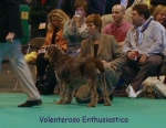Dateiname=V-Enthusiastica.jpg
Dateigröße=66KB
Abmessungen: 450x350
hinzugefügt am: 16. September 2009 V-Enthusiastica.jpg