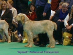 Dateiname=W-Antaeus.jpg
Dateigröße=65KB
Abmessungen: 600x450
hinzugefügt am: 16. September 2009 W-Antaeus.jpg