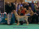 Dateiname=W-Danzare.jpg
Dateigröße=67KB
Abmessungen: 600x450
hinzugefügt am: 16. September 2009 W-Danzare.jpg