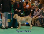 Dateiname=W-Devine.jpg
Dateigröße=65KB
Abmessungen: 450x350
hinzugefügt am: 16. September 2009 W-Devine.jpg