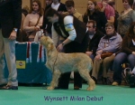 Dateiname=W-MilanDebut.jpg
Dateigröße=65KB
Abmessungen: 450x350
hinzugefügt am: 16. September 2009 W-MilanDebut.jpg