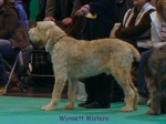 Dateiname=W-Mistero.jpg
Dateigröße=58KB
Abmessungen: 600x450
hinzugefügt am: 16. September 2009 W-Mistero.jpg