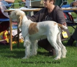 Filename=B-CuttingTheCards.jpg
Filesize=72KiB
Dimensions=600x531
Date added=Sep 16, 2009 B-CuttingTheCards.jpg