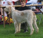 Filename=B-Daydream.jpg
Filesize=71KiB
Dimensions=600x530
Date added=Sep 16, 2009 B-Daydream.jpg