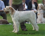 Filename=G-MagicWizard.jpg
Filesize=60KiB
Dimensions=600x480
Date added=Sep 16, 2009 G-MagicWizard.jpg