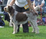 Filename=H-CaffeLatte.jpg
Filesize=72KiB
Dimensions=600x510
Date added=Sep 16, 2009 H-CaffeLatte.jpg
