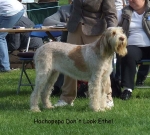 Filename=H-DontLookEthel.jpg
Filesize=74KiB
Dimensions=600x540
Date added=Sep 16, 2009 H-DontLookEthel.jpg