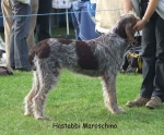 Filename=H-Maroschino.jpg
Filesize=79KiB
Dimensions=600x499
Date added=Sep 16, 2009 H-Maroschino.jpg