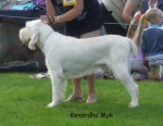 Filename=K-Myk.jpg
Filesize=57KiB
Dimensions=600x465
Date added=Sep 16, 2009 K-Myk.jpg