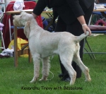 Filename=K-Trevy.jpg
Filesize=64KiB
Dimensions=600x532
Date added=Sep 16, 2009 K-Trevy.jpg
