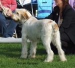 Filename=R-Carisma.jpg
Filesize=69KiB
Dimensions=600x547
Date added=Sep 16, 2009 R-Carisma.jpg