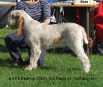 Filename=R-CatchTheDawn.jpg
Filesize=86KiB
Dimensions=600x511
Date added=Sep 16, 2009 R-CatchTheDawn.jpg