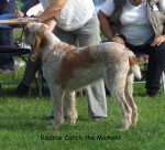 Filename=R-CatchTheMoment.jpg
Filesize=84KiB
Dimensions=600x546
Date added=Sep 16, 2009 R-CatchTheMoment.jpg