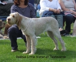 Filename=R-LittleSister.jpg
Filesize=72KiB
Dimensions=600x485
Date added=Sep 16, 2009 R-LittleSister.jpg