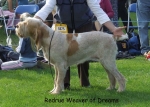 Filename=R-WeaverOfDreams.jpg
Filesize=65KiB
Dimensions=600x429
Date added=Sep 16, 2009 R-WeaverOfDreams.jpg