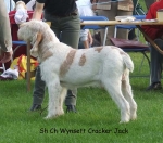 Filename=W-CrackerJack.jpg
Filesize=74KiB
Dimensions=600x531
Date added=Sep 16, 2009 W-CrackerJack.jpg