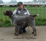 Filename=C HighFlyer.jpg
Filesize=77KiB
Dimensions=610x543
Date added=Sep 16, 2009 C HighFlyer.jpg