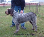 Filename=C-HighFlyer.jpg
Filesize=97KiB
Dimensions=625x540
Date added=Sep 16, 2009 C-HighFlyer.jpg
