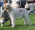 Filename=B-Daydream.jpg
Filesize=71KiB
Dimensions=600x509
Date added=Sep 16, 2009 B-Daydream.jpg